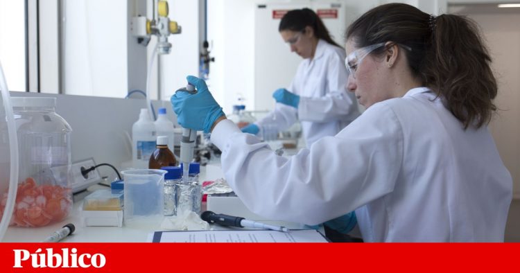 laboratorio