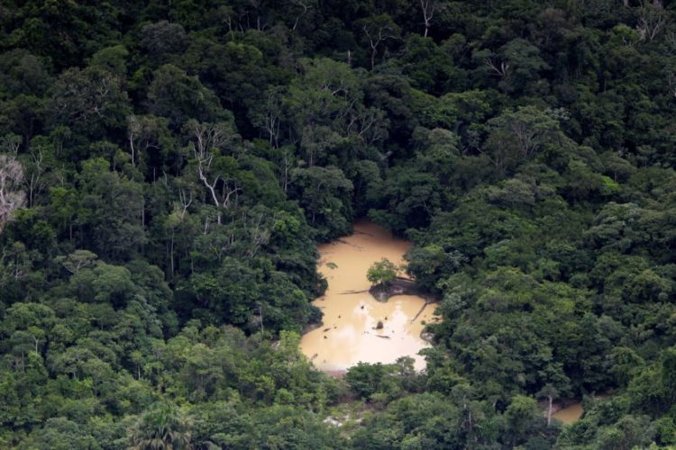 amazonia