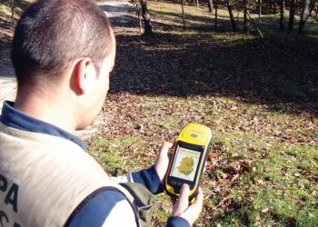 Sistemas de Informação Geográfica no Setor Florestal