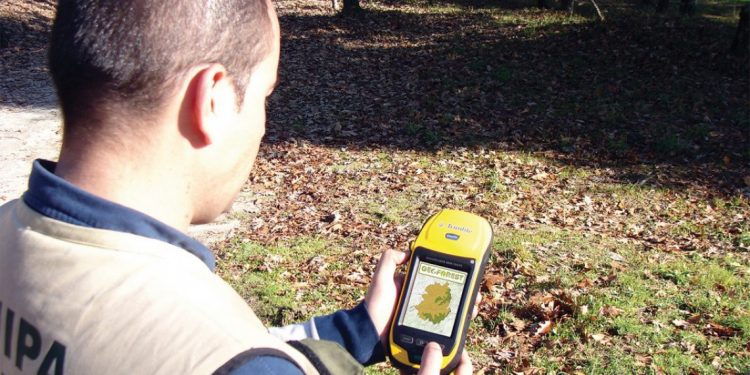 Sistemas de Informação Geográfica no Setor Florestal