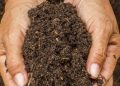 soil health