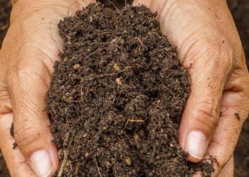 soil health