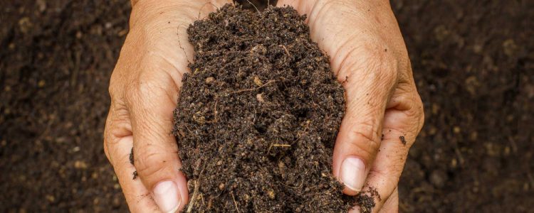 soil health