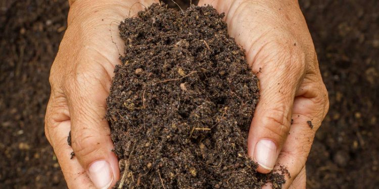 soil health