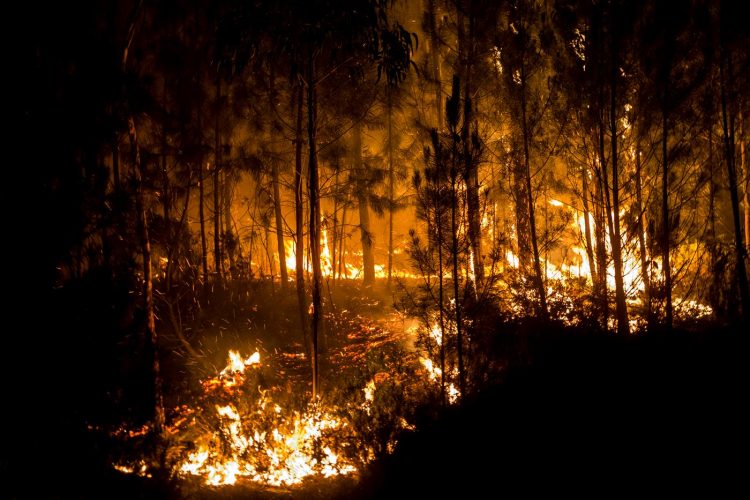 incendio