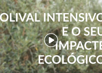 olival impactes ecologicos