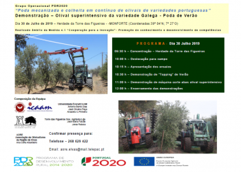 olival evento
