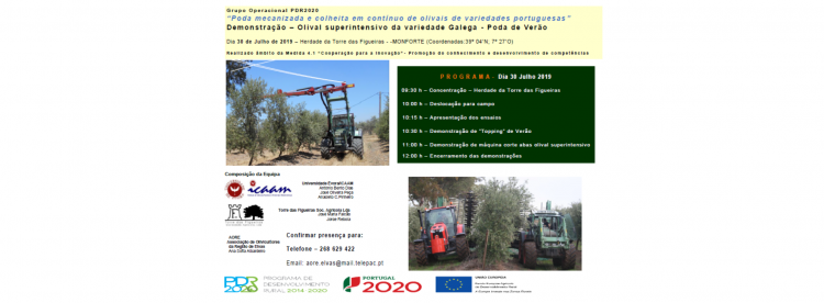 olival evento