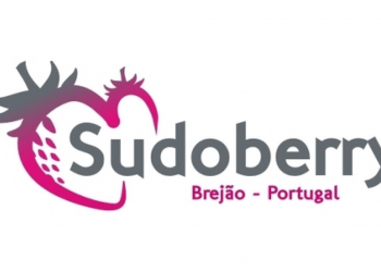 sudoberry odemira