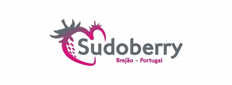 sudoberry odemira