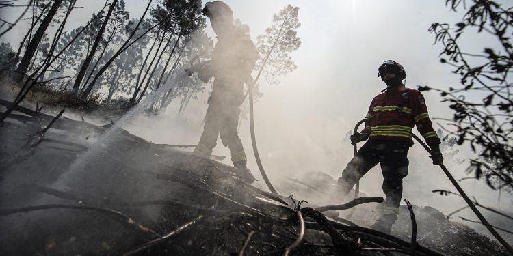 bombeiros apanhar incêndios