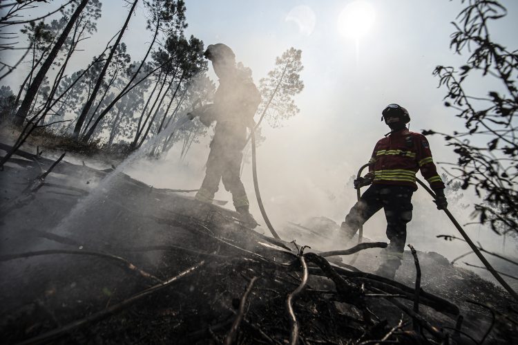 bombeiros apanhar incêndios