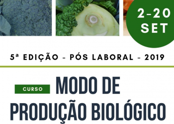 Curso MPB 5