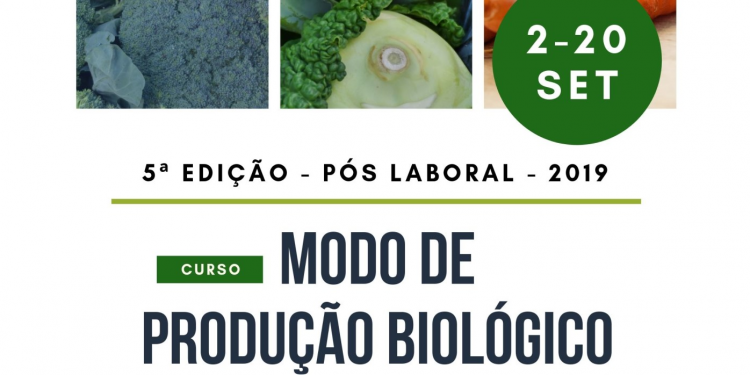 Curso MPB 5