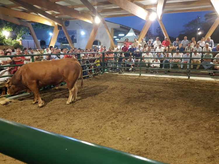 Expomor 2018