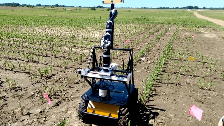 Inteligência artificial agricultura