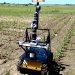 Inteligência artificial agricultura
