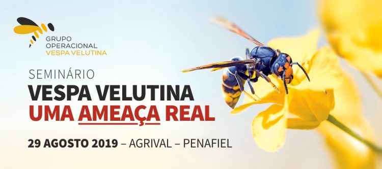 seminário vespa velutina