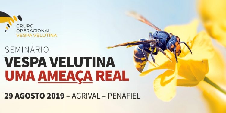 seminário vespa velutina