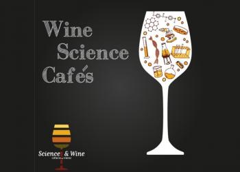 Wine science cafés