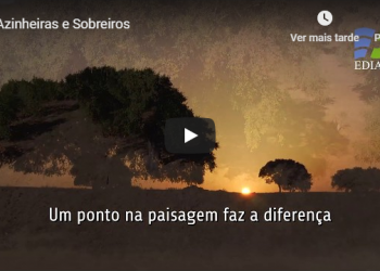 edia azinheiras e sobreiros