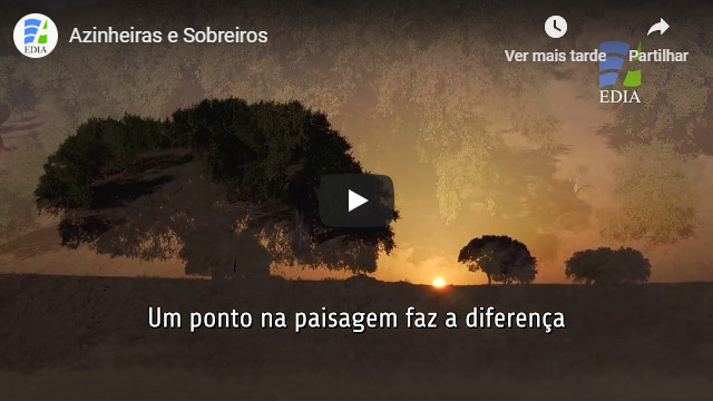 edia azinheiras e sobreiros