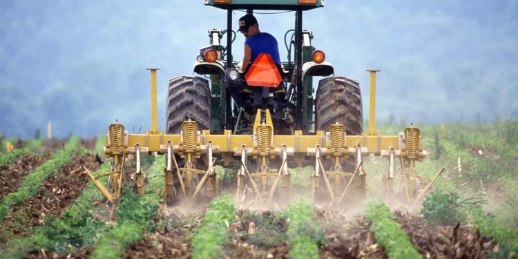 agricultor mobilizar o solo