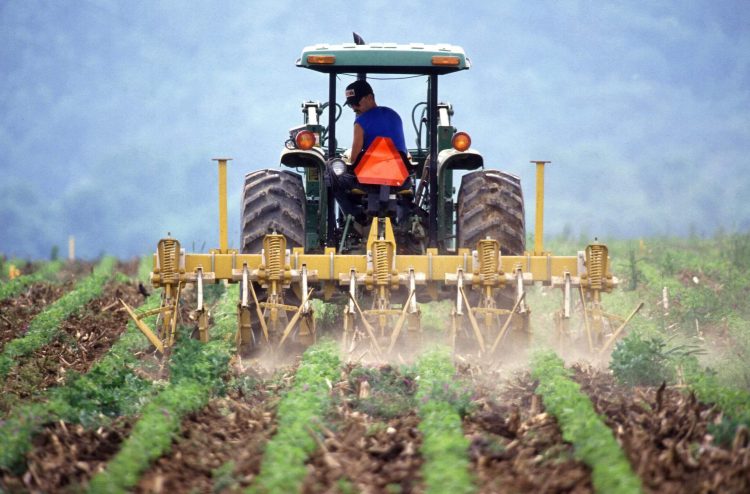 agricultor mobilizar o solo