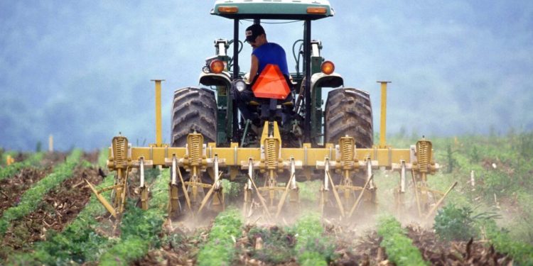 agricultor mobilizar o solo