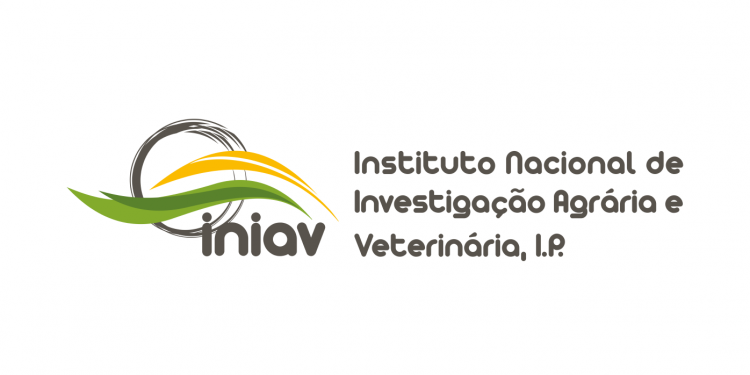 iniav logo