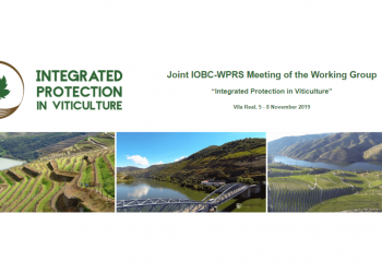 integrated protection viticulture