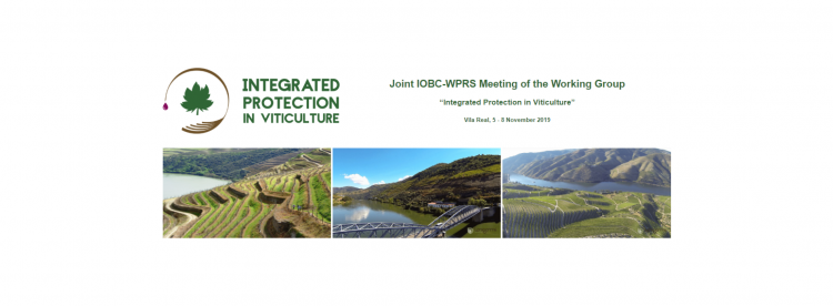 integrated protection viticulture
