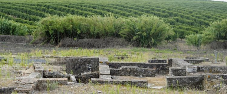 património arqueológico agrícola