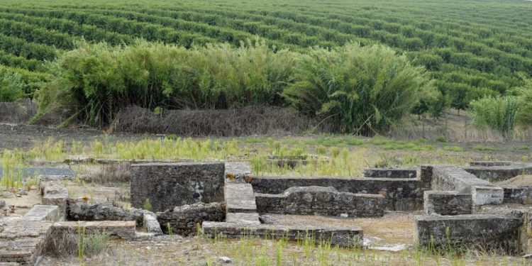 património arqueológico agrícola