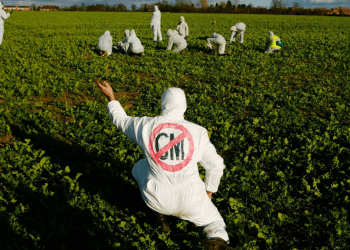 anti-gmo