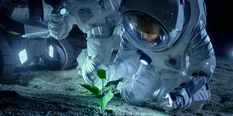 plants in space