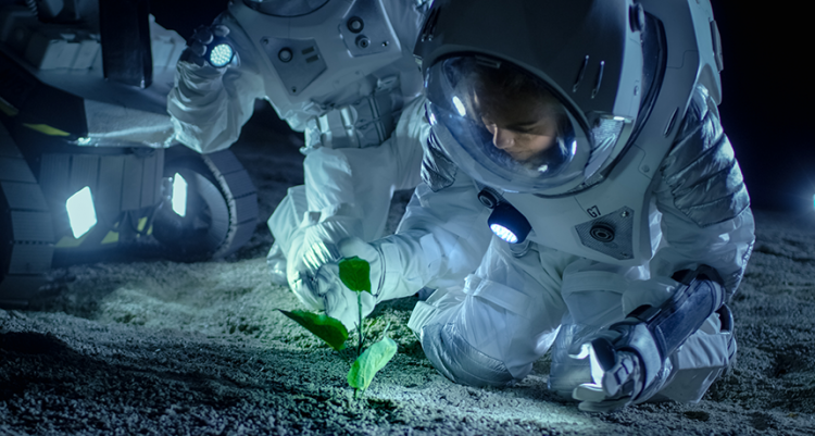 plants in space
