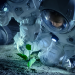 plants in space