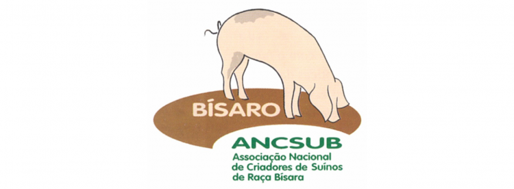 ANCSUB