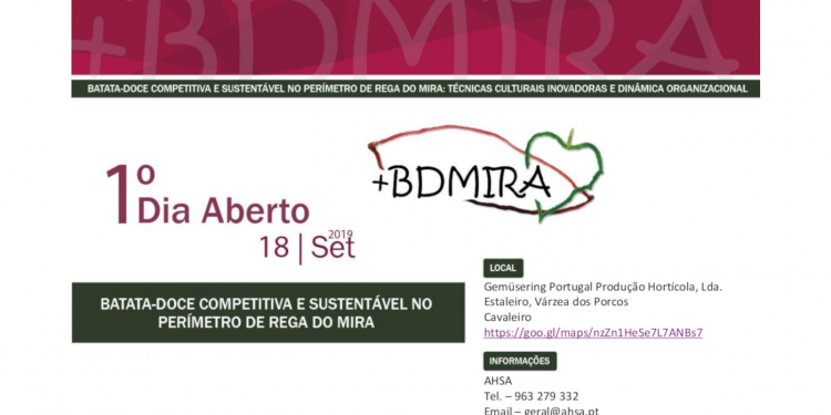 BDMIRA