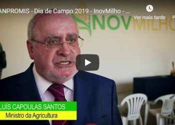 Luis Capoulas Santos