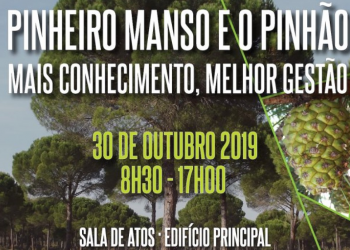 Pinheiro Manso e o Pinhão