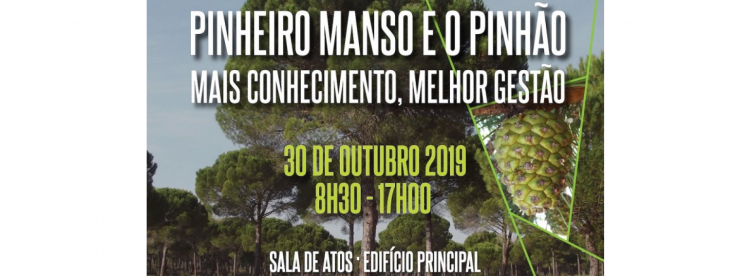 Pinheiro Manso e o Pinhão