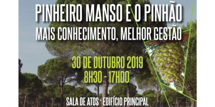 Pinheiro Manso e o Pinhão