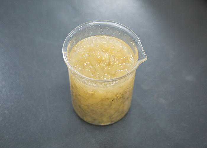 Produto nanotecnológico reúne manejo hídrico e de fertilizantes - Foto: Malu Tinoco