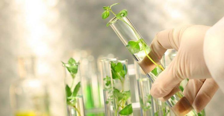 biotecnologia