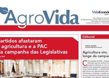 agrovida outubro