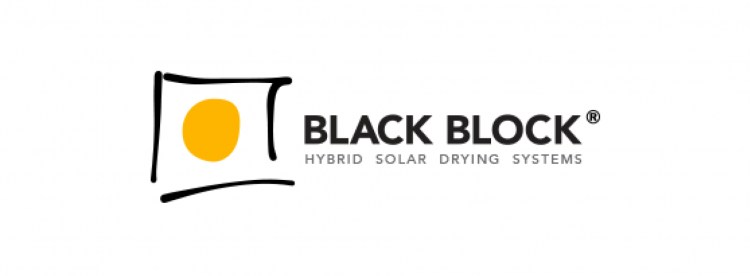 Black Block
