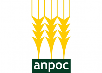 anpoc