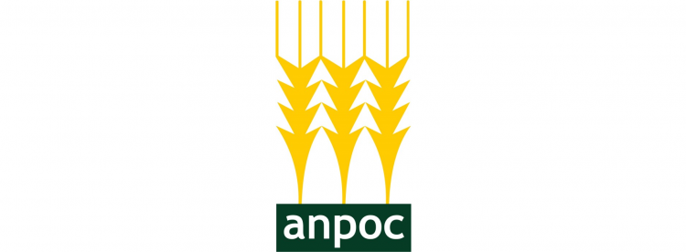 anpoc